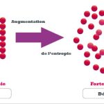 Notions d’Entropie et de Néguentropie (Partie 3)